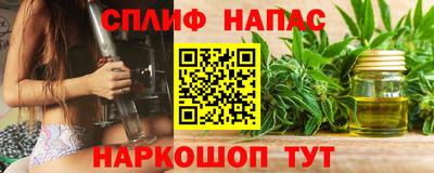 стаф Боровичи