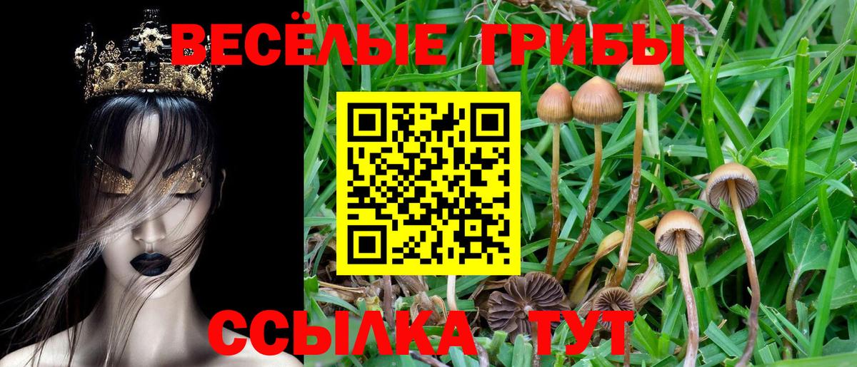 наркошоп  Псилоцибиновые грибы MAGIC MUSHROOMS  Вход с VPN  Боровичи  Галлюциногенные грибы прущие грибы 